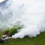 Babeszjoza – Skuteczne…